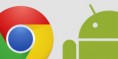 Navegadores: Firefox y Chrome